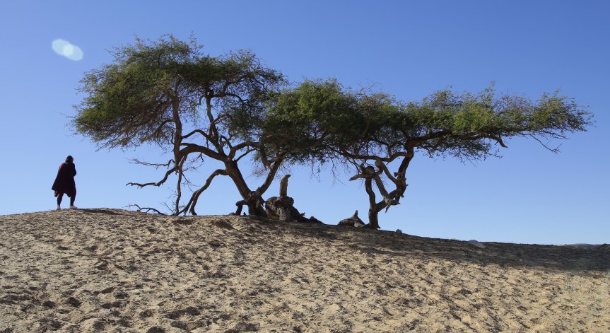 Учени: Децата ни ще имат 