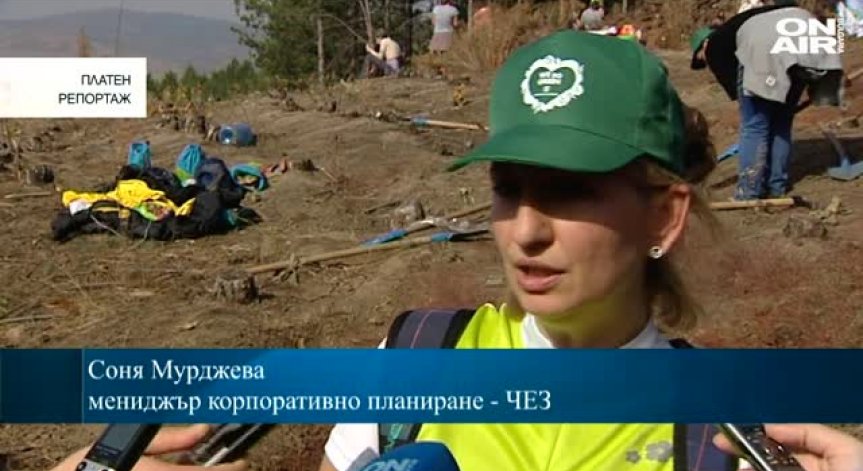 ЧЕЗ залесява 5 дка от изгоряла при пожар гора