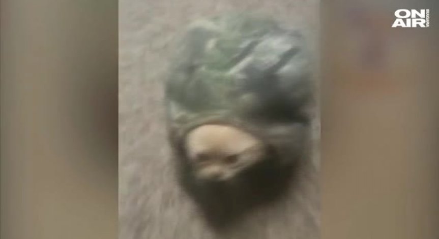 Гангстер с мръсна шапка