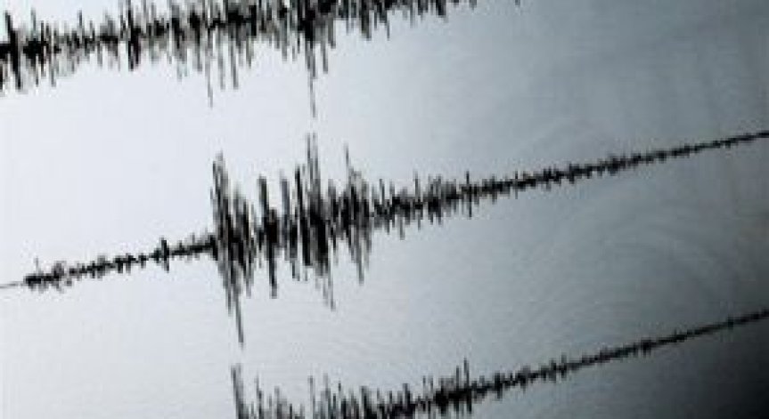 Земетресение с магнитуд 6,5 разтърси Индонезия