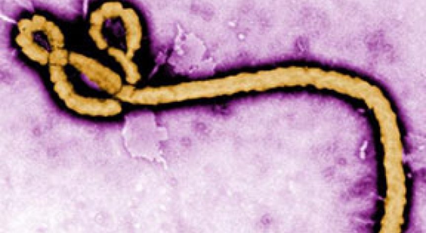 Мъж е хоспитализиран в Швеция с подозрения за ебола (обновена)