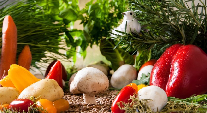 Ползите на зеленчуците и плодовете са много.