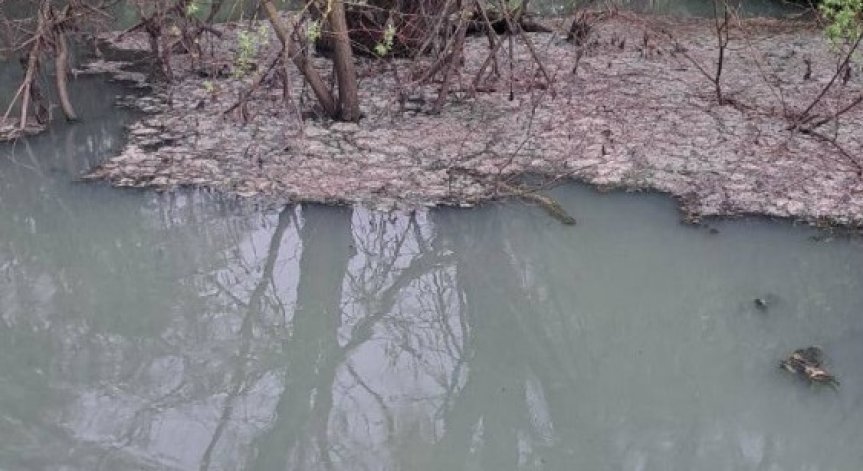 Чакат се резултатите от анализите на водата.