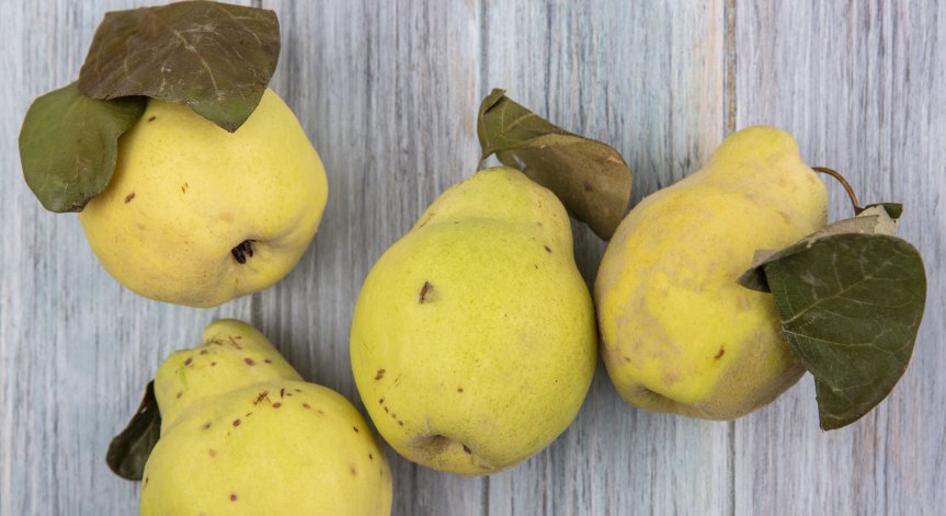 Рецепта за пълнени дюли с кайма и ориз