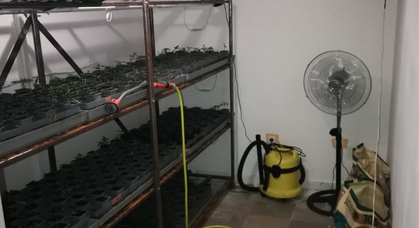 Задържаха 56 души при акция срещу разпространението на наркотици