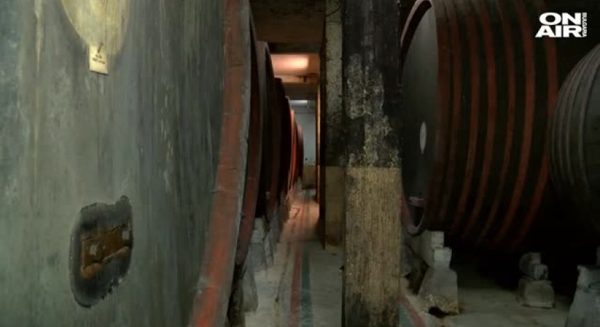 Очакваме по-слаба реколта на грозде