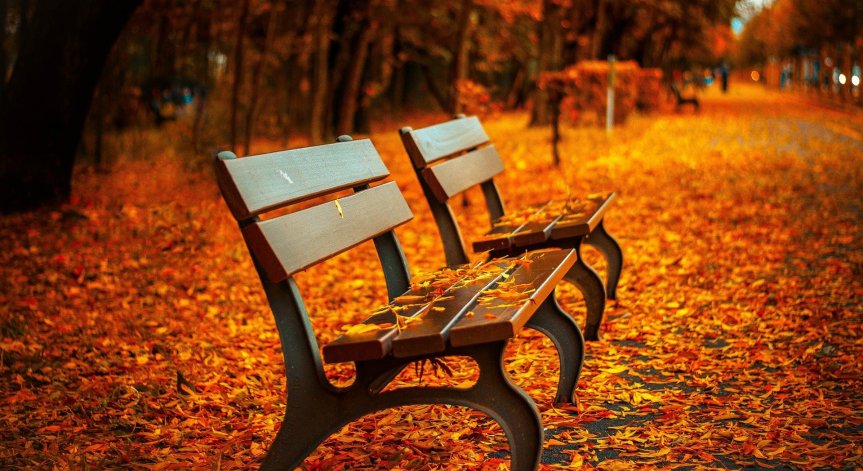 В 22:21 ч. днес настъпва астрономическата есен