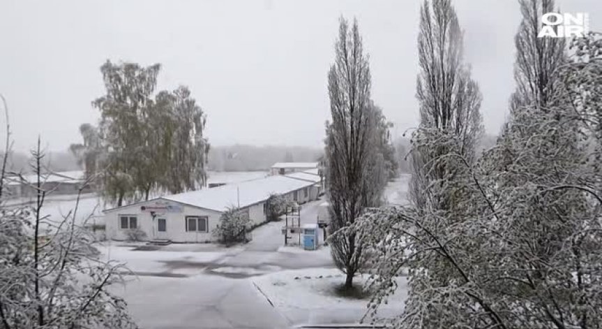 Зимната приказка през април предизвика хаос в Европа 