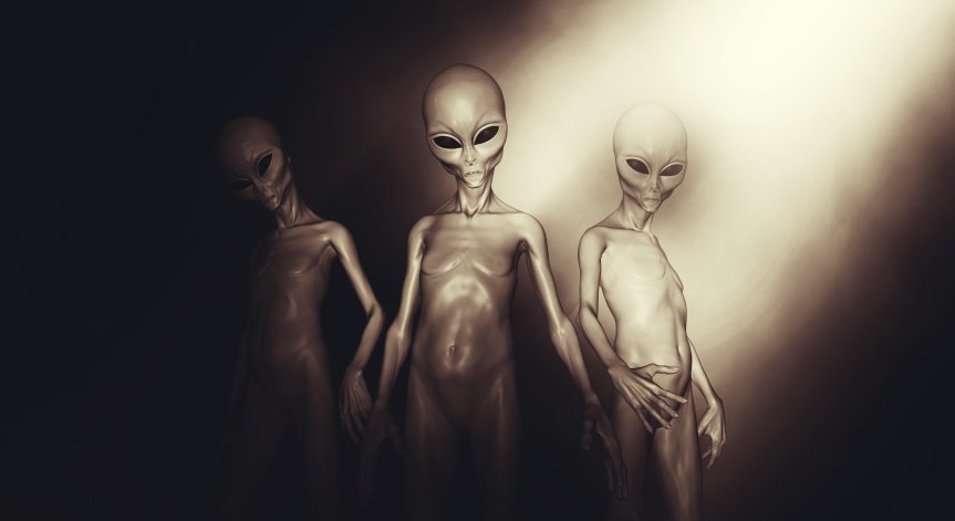 Находката е изпратена за анализ в Националния университет в Катамарка.