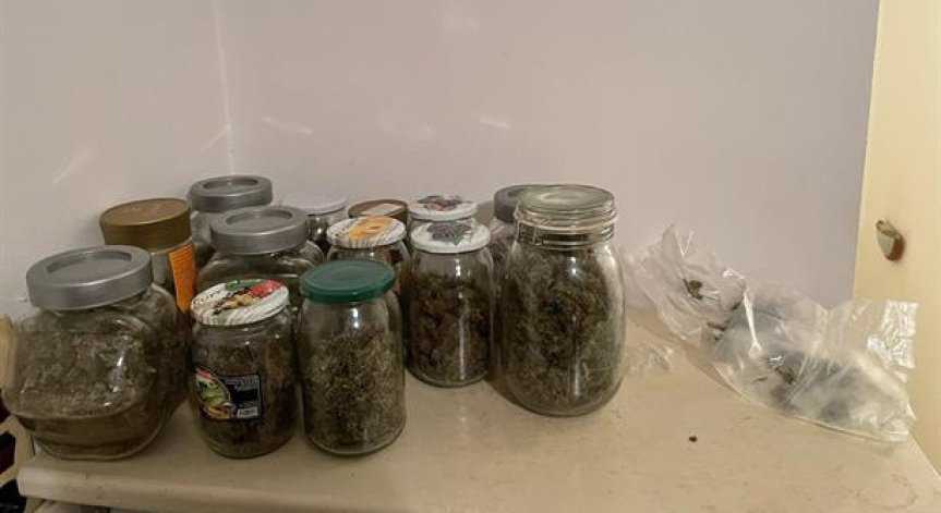 Разкриха домашна оранжерия за отглеждане на марихуана в София, задържани са двама мъже