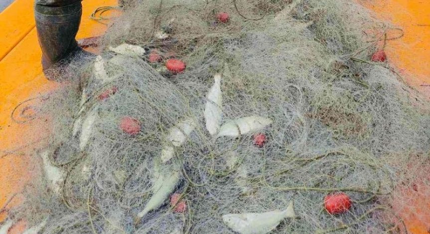 ИАРА разкри незаконна продажба и улов на риба в Поморие и Варна