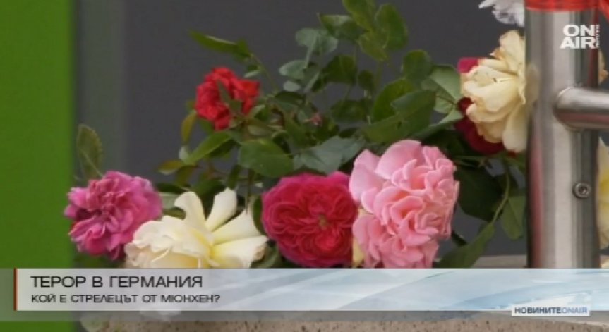 Голяма част от жертвите при стрелбата в Мюнхен са подрастващи 