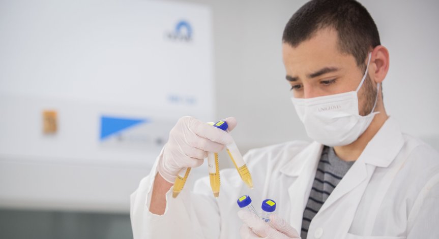 Морбили е заболяване, което се причинява от вирус (Morbillivirus).