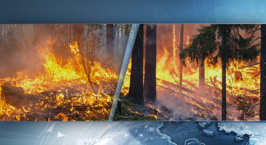 Пожар избухна във вилната зона на село Долно Вършило