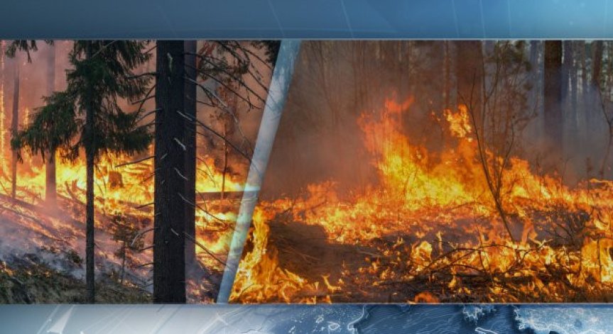 Голям пожар пламна над Котел