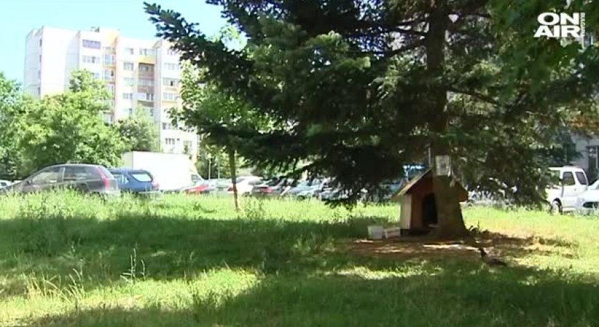 Първият град за кучета ще бъде открит в кв. 