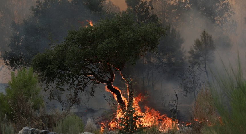 Четирима души също загинаха в Испания по време на извънредната ситуация.