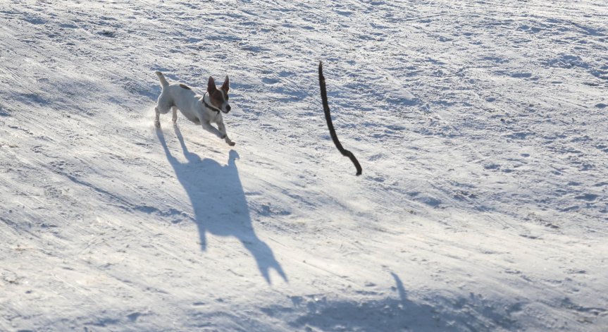 Облачна и снежна неделя с максимални температури до 7 градуса