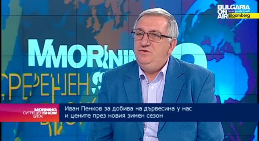 Слаб контрол на институциите е в основата на незаконната сеч в горите
