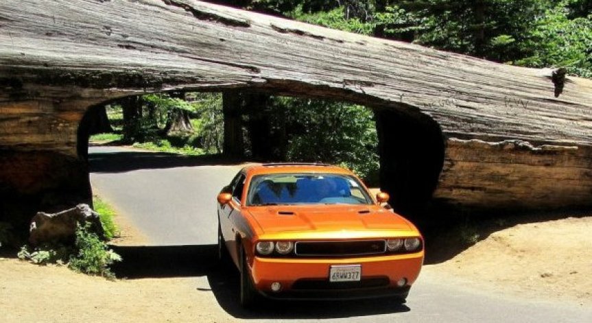 Най-необичайните пътни тунели в света