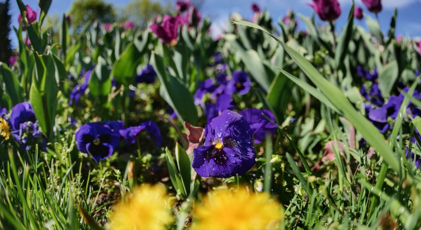 Очаква ни гореща неделя, но на места ще има гръмотевици и градушки
