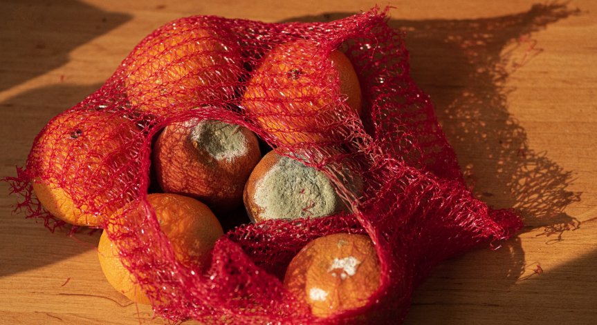 Няколко начина да изхвърляме по-малко храна и да спестим пари