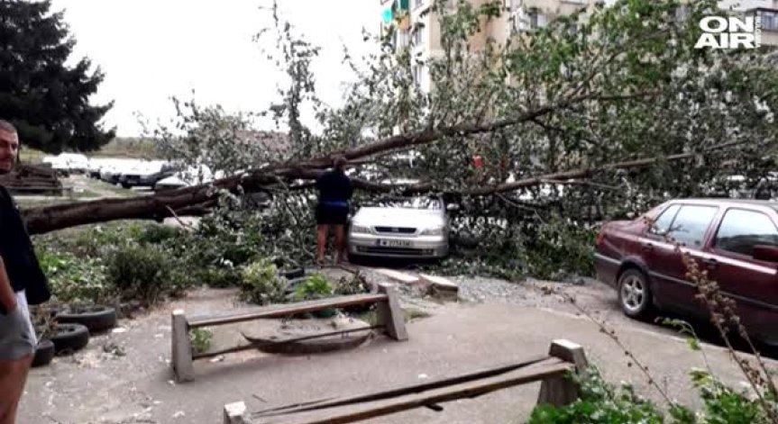 Буреносен вятър повали дървета! 7000 домакинства останаха без ток