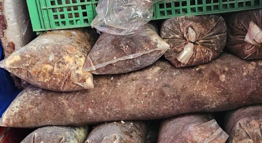БАБХ разкри втора незаконна кланица в Дебелец