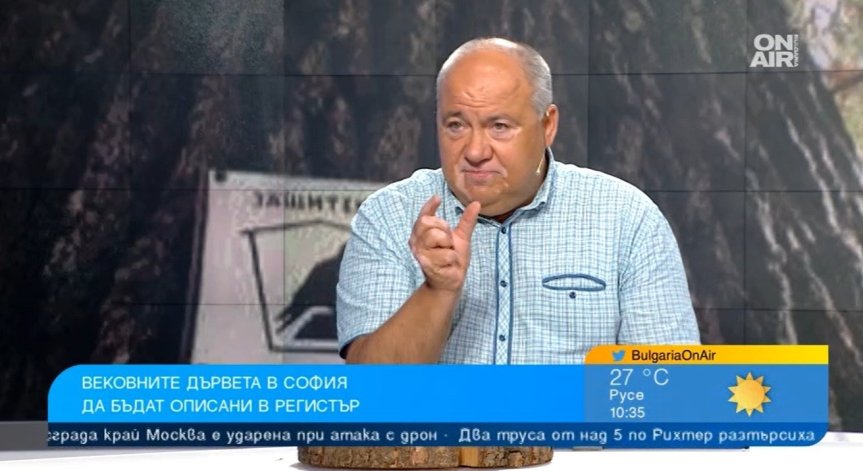 Възрастта на вековните дървета в България е силно завишена