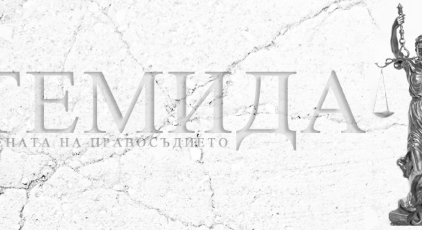 „Темида“ на една година