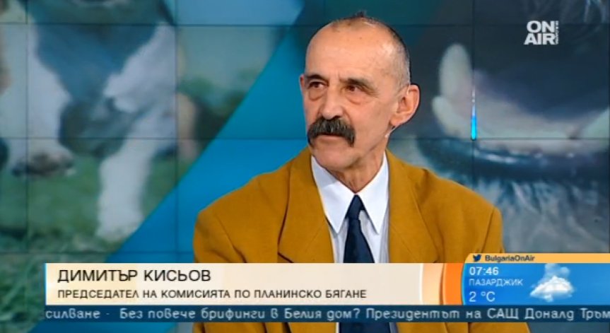 Заради кучетата в парка: Екозащитници обвиняват спортен клуб в насаждане на омраза