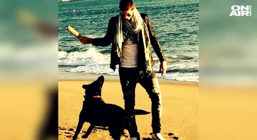 Не само хората скърбят: Кучето на Сала все още го чака