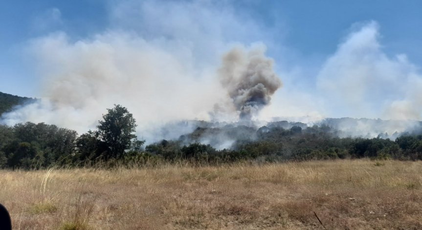 Хеликоптер гаси голям пожар в Сакар планина край село Българска поляна