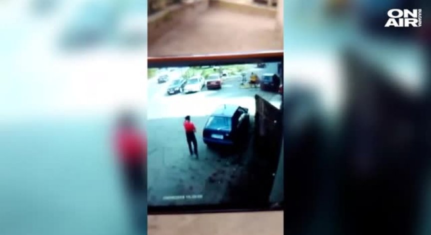 Кон скочи върху спрял на пътя автомобил край Своге