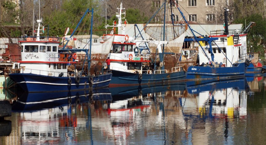 ИАРА предупреди рибарите да не влизат в Черно море заради отнесените мини