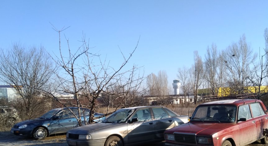 Паркиране между дръвчета и агресивни бездомни кучета