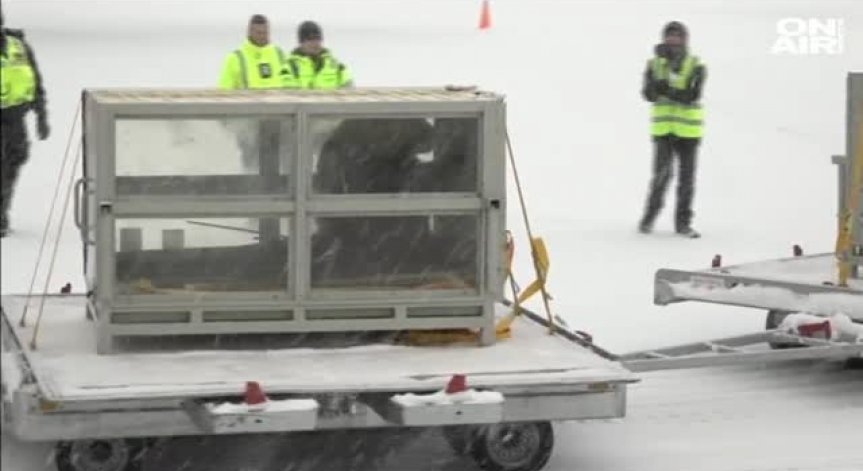 Китай със специален подарък за Финландия