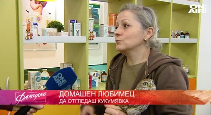 Как да отгледаш кукумявка, как да спасим брака си и какви са полезните свойства на джинджифила