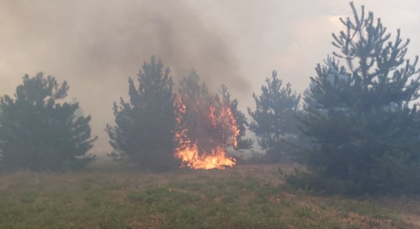 Екстремален индекс за опасност от пожари в 9 области в страната