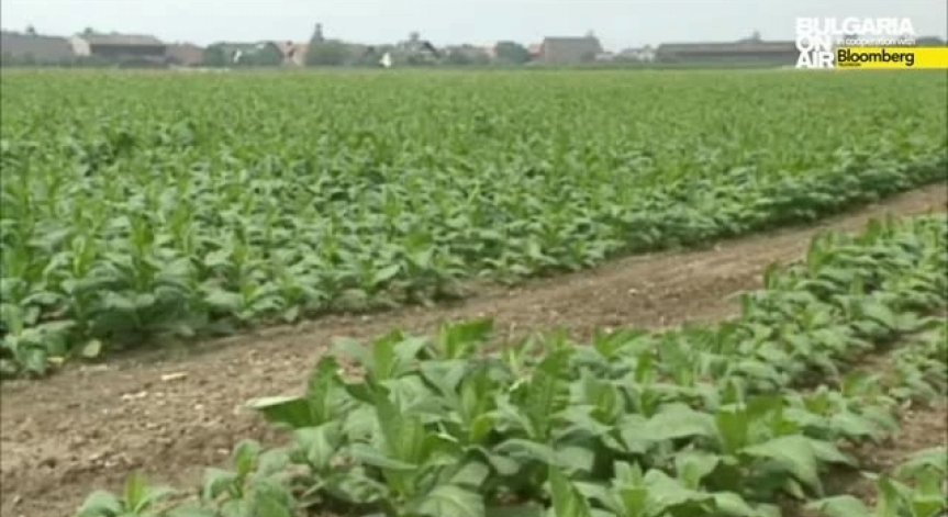 Сезонните работници няма да бъдат лишени от социални помощи