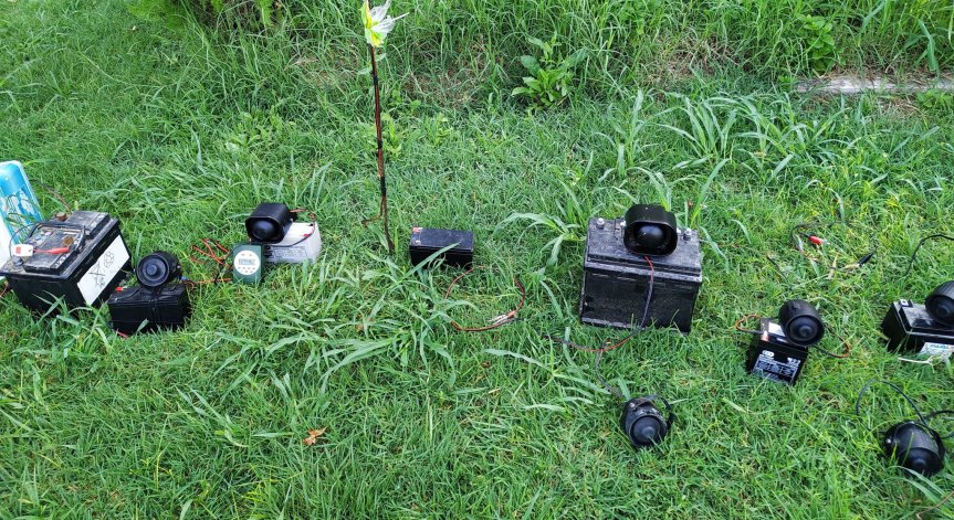 Горските инспектори продължават с масираните проверки.