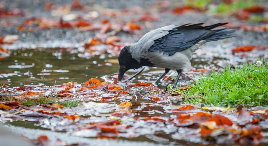През нощта срещу неделя в Източна България валежите ще продължат.