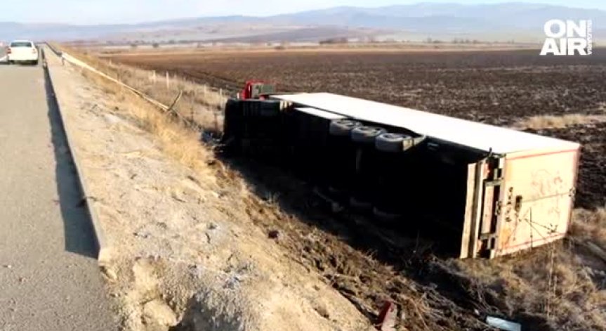 ТИР с плодове се обърна в ниви на АМ 