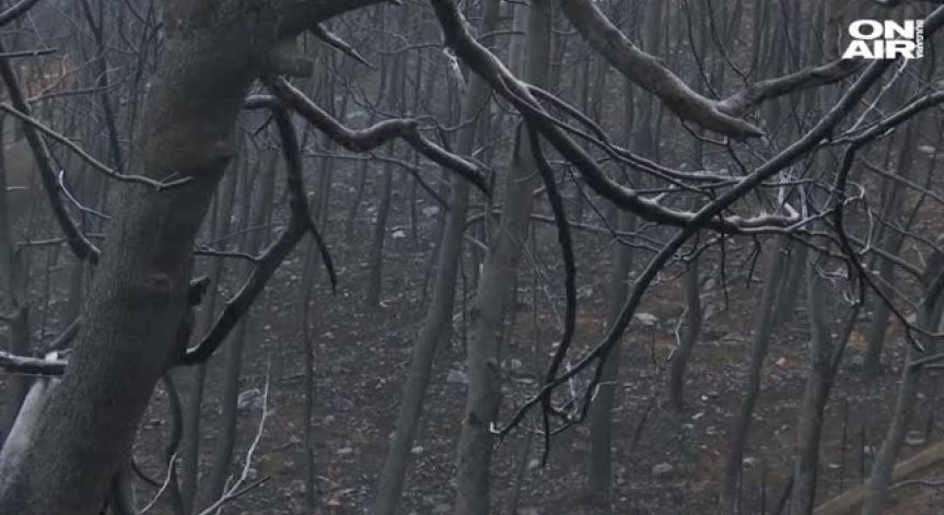 Гърция е потънала в скръб след бедствието - започват погребенията на жертвите