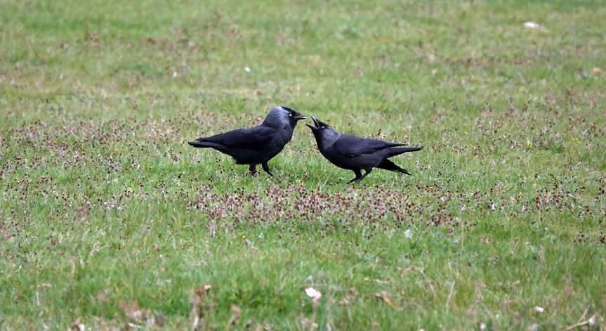 Аварийни екипи ще пазят децата, докато играят в двора.