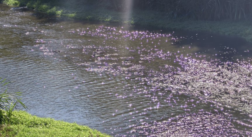 Ще бъдат взети водни проби за физико-химичен анализ.