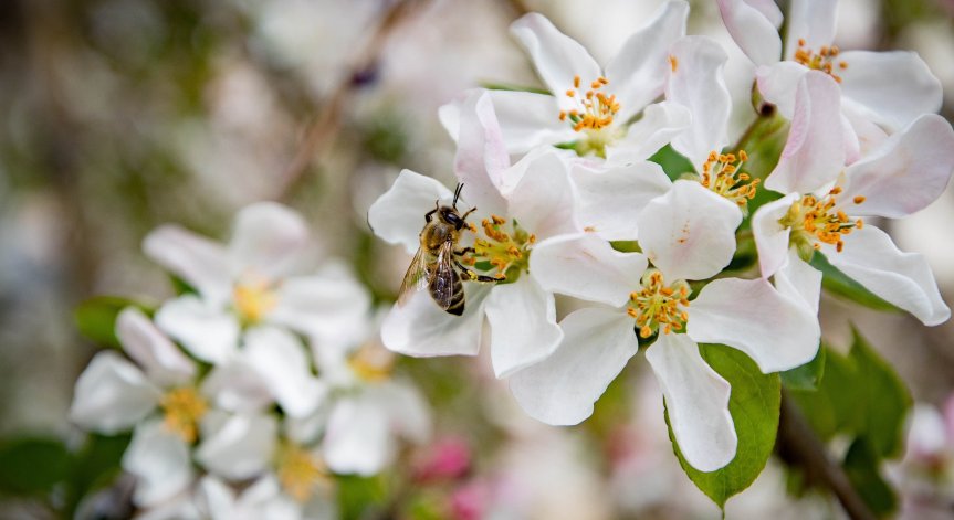 Очаквайте динамика, флиртове и големи промени.
