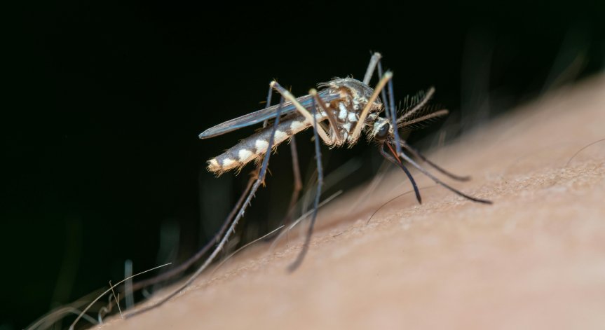 От началото на лятото са регистрирани 192 случая на заразени в 65 общини в страната.