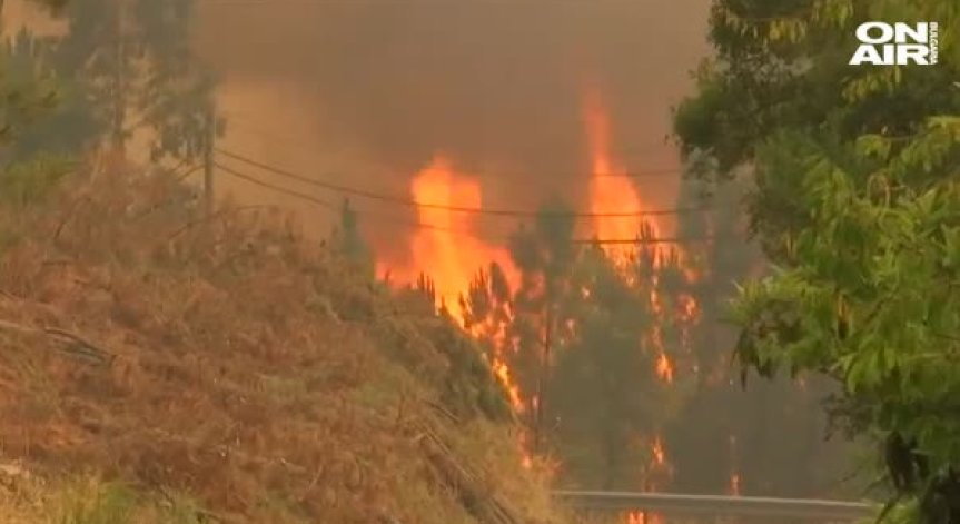 Невиждани горски пожари в Португалия заради жегите
