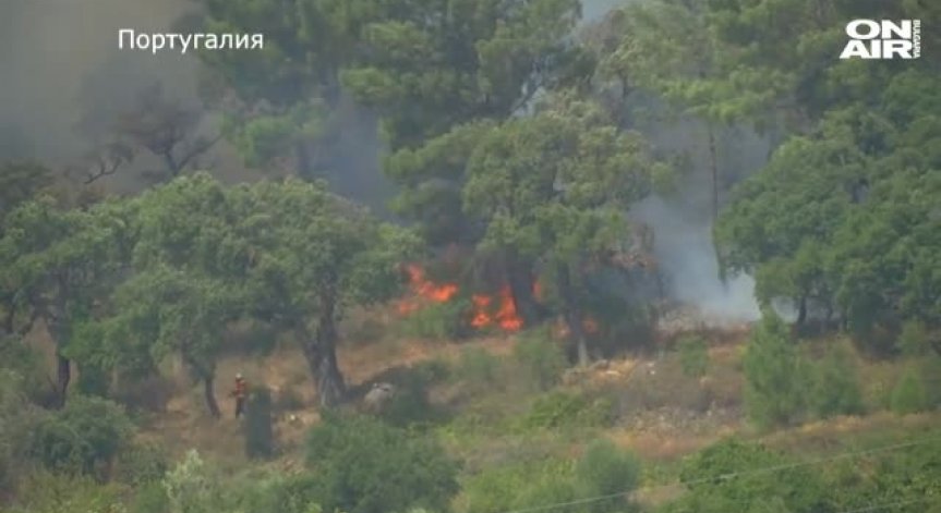 Нов пожар в района на Атина, пламъци бушуват и в Португалия, в Австралия - невиждана суша